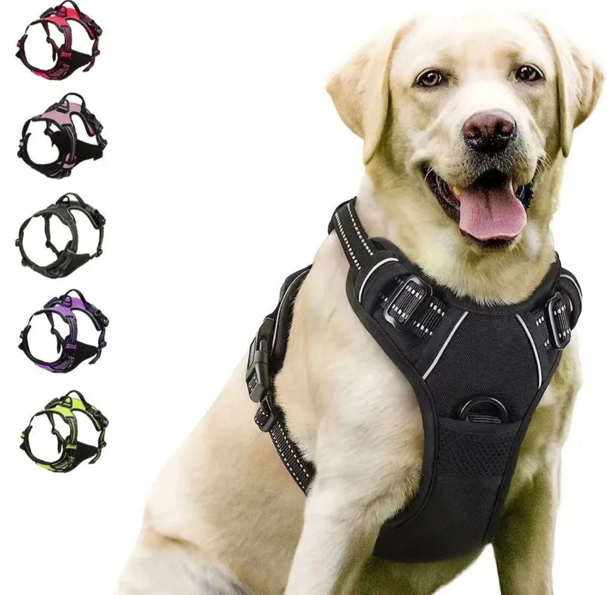 Pet Supplies Australia - Products for Dogs, Cats & More - Matt's Random Items