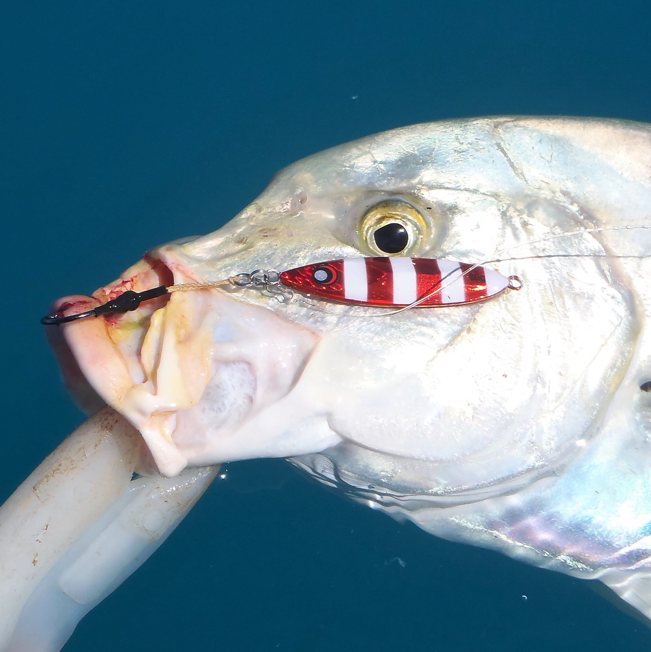 The Reef Jigger Gift Pack-2