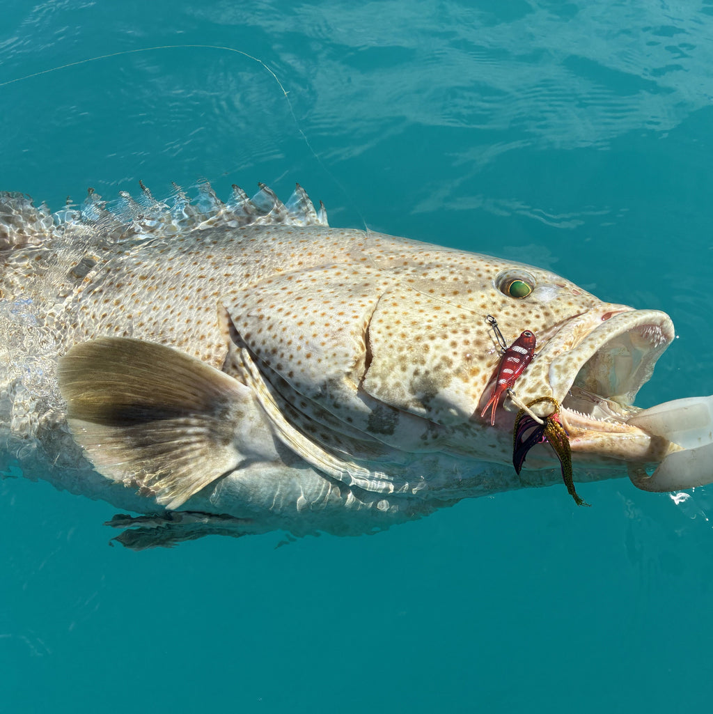 Artizan 22 strand silicon skirt, Orange, Pack of 20-3