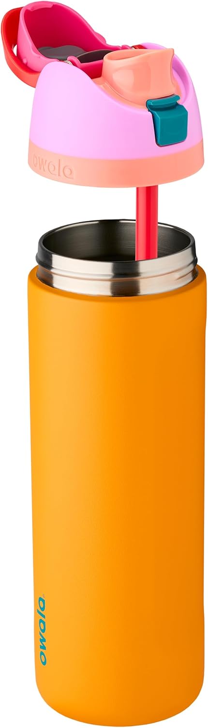 Owala FreeSip Insulated Stainless Steel Water Bottle with Straw for Sports, Travel, and School BPA-Free Sports Water Bottle, 24 oz, Dreamy Field
