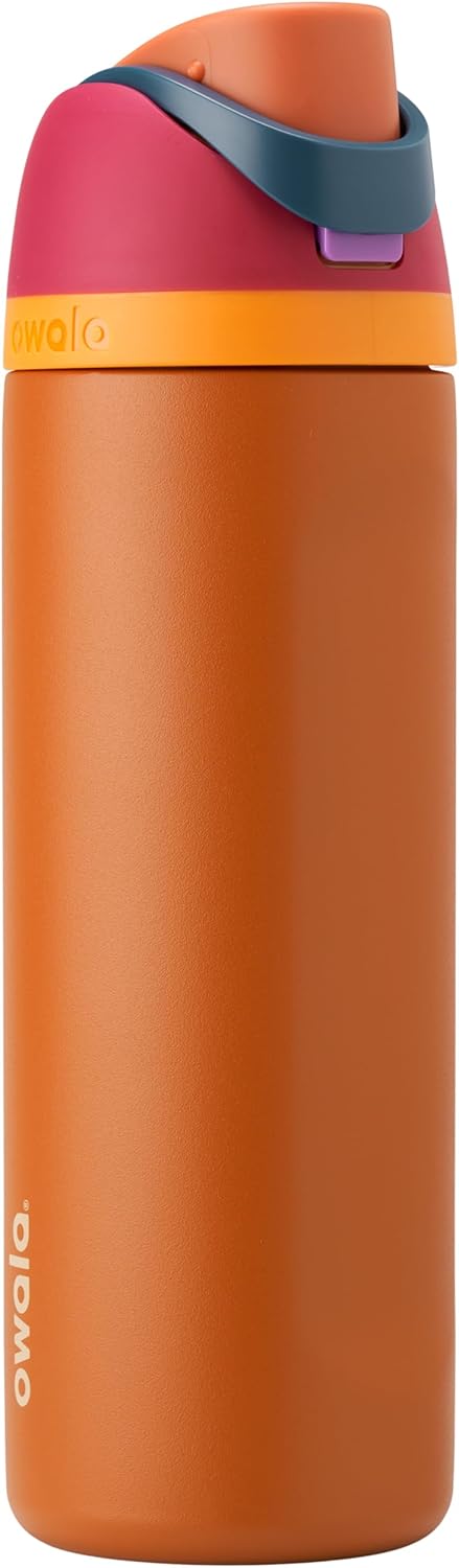 Owala FreeSip Insulated Stainless Steel Water Bottle with Straw for Sports, Travel, and School BPA-Free Sports Water Bottle, 24 oz, Dreamy Field