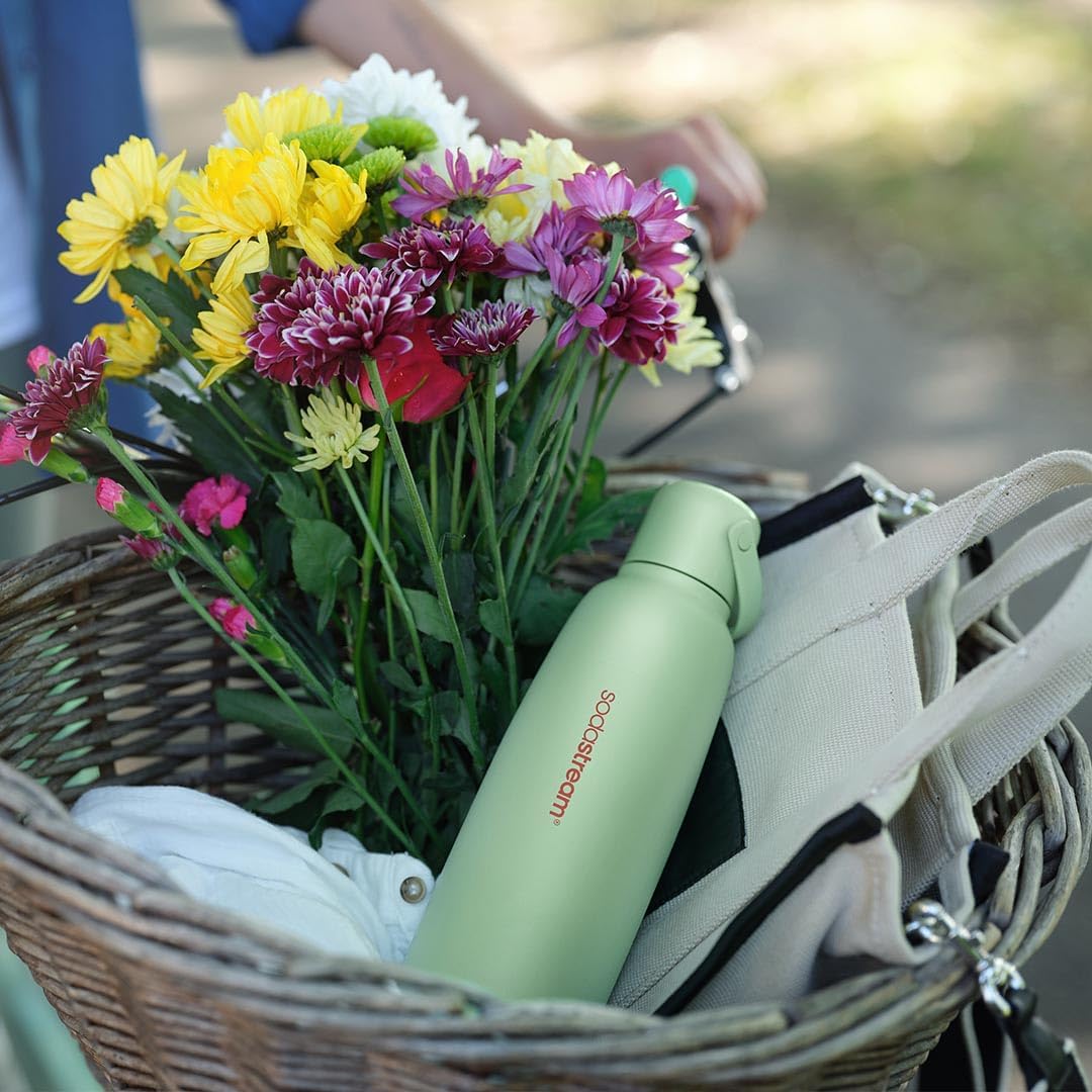 Sodastream - Fizz&GO Mint Double Walled Stainless Steel Bottle, Keeps Drinks Cold and Bubbly for 12 Hours, Compatible with Sodastream Quick Connect Machines, Easy-Carry Handle, 900ML