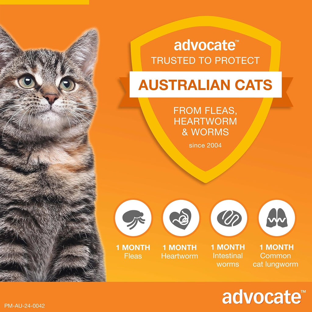 Advocate Cat, Monthly Spot-On Protection from Fleas, Heartworm and Worms, Three Pack Flea Treatment for Kittens & Small Cats up to 4 kg, 3 Pack
