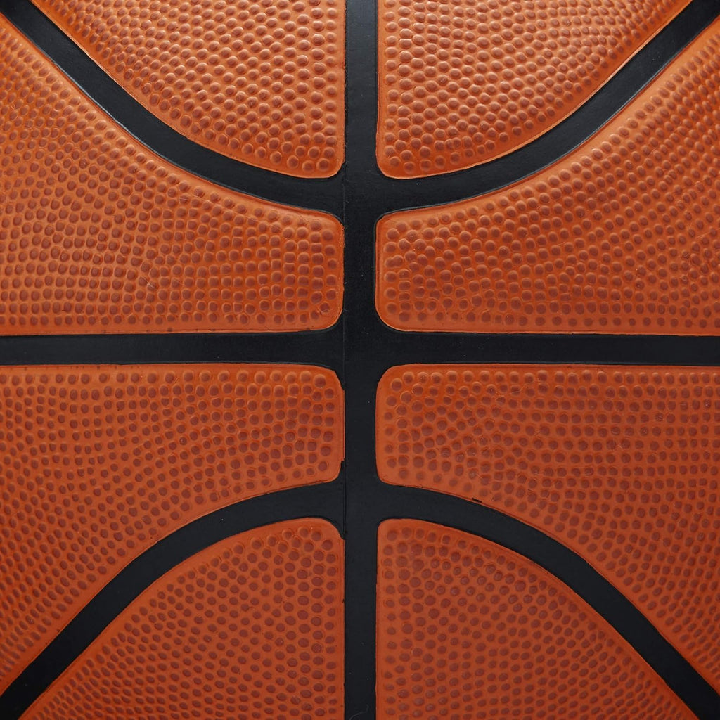 Wilson NBA Authentic Series Basketballs