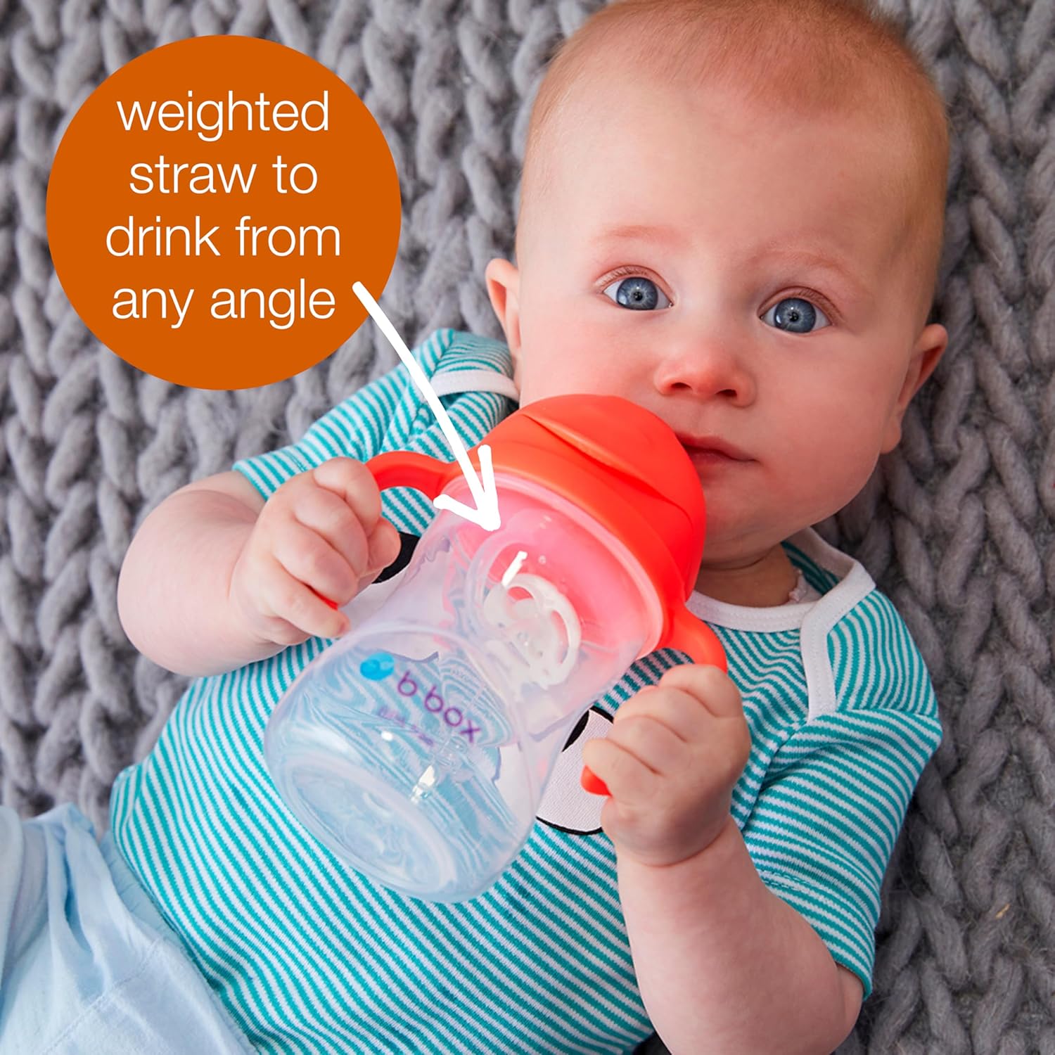b.box Sippy Cup with Weighted Straw for 6 Month Plus Babies to Toddlers, Grape/Boysenberry, 240 ml Capacity (Pack of 2)