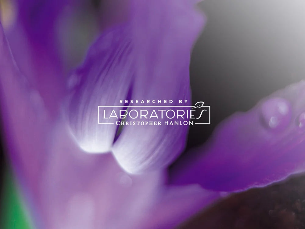 2x BUSH MINT + TASMANIAN LAVENDER | SHEABUTTER HAND WASH + HAND BALM-4